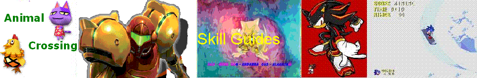 Skill Guides